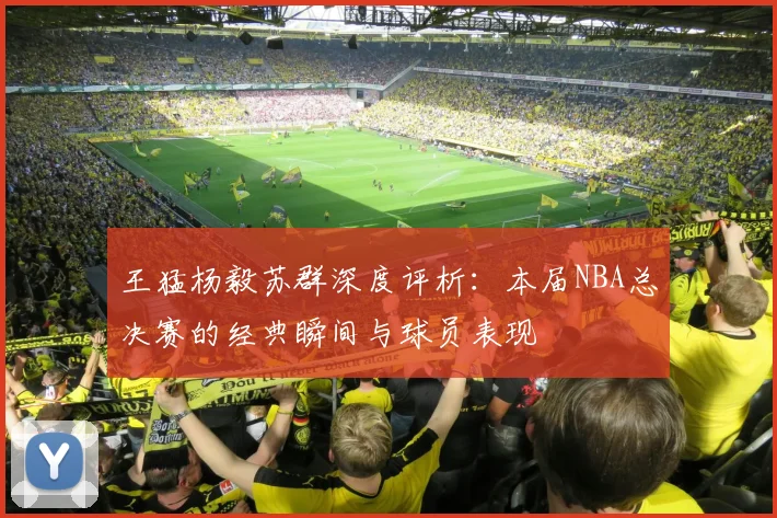 王猛杨毅苏群深度评析:本届NBA总决赛的经典瞬间与球员表现